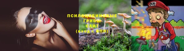 каннабис Алексин