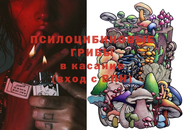 ГАЛЛЮЦИНОГЕННЫЕ ГРИБЫ Алексеевка
