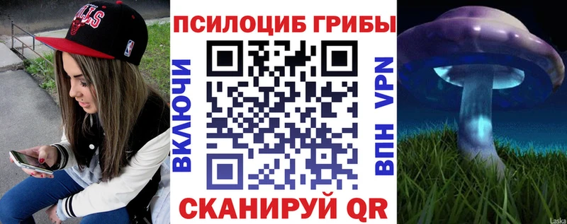 Галлюциногенные грибы мухоморы  shop состав  Хотьково 